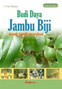 Budi Daya Jambu Biji, Buah Multimanfaat