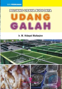 Peluang Usaha Udang Galah