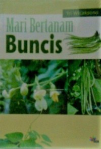 Mari Bertanam Buncis