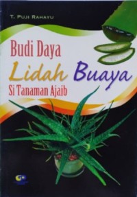 Budi Daya Lidah Buaya si Tanaman Ajaib