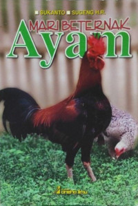 Mari Beternak Ayam