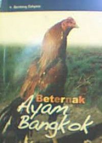 Beternak Ayam Bangkok