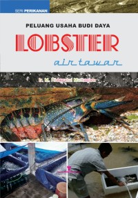 Peluang Usaha Budidaya Lobster