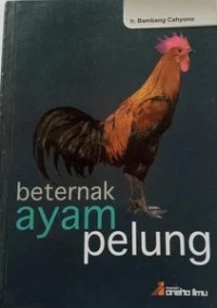 Beternak Ayam Pelung