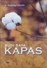 Budi Daya Kapas