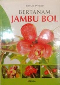 Bertanam Jambu Bol