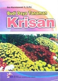 Budi Daya Tanaman Krisan