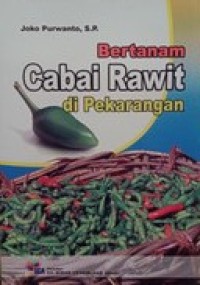 Bertanam Cabai Rawit di Pekarangan