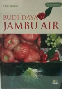 Budi Daya Jambu Air