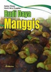 Budi Daya Manggis