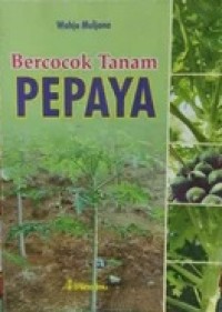 Bercocok Tanam Pepaya