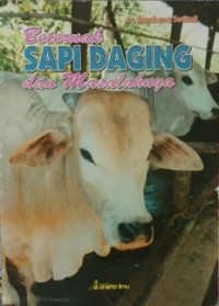 Beternak Sapi Daging dan Masalahnya