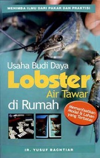 Usaha Budi Daya Lobster Air Tawar di Rumah